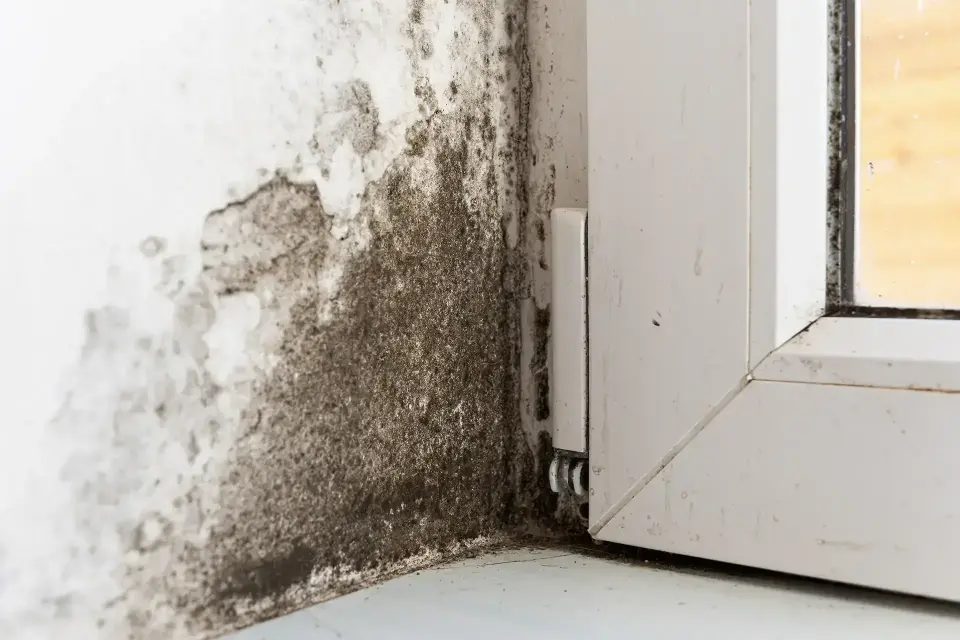 Your Trusted Local Restoration Experts — North Salt Lake, UT